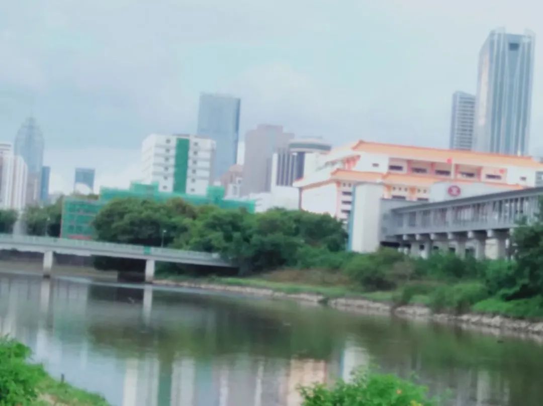 香港屯门跨境学童,香港跨境学童父母