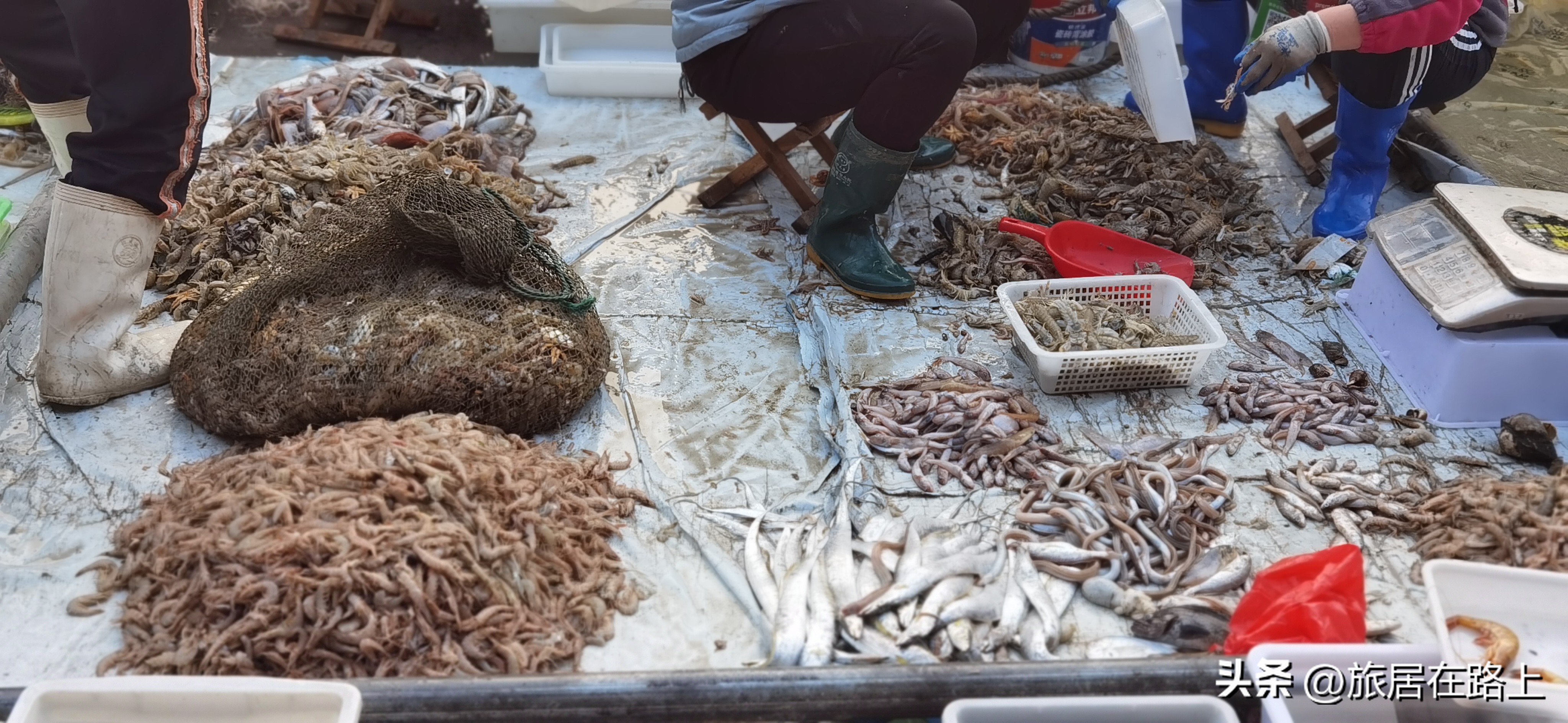 日照天气,日照房价