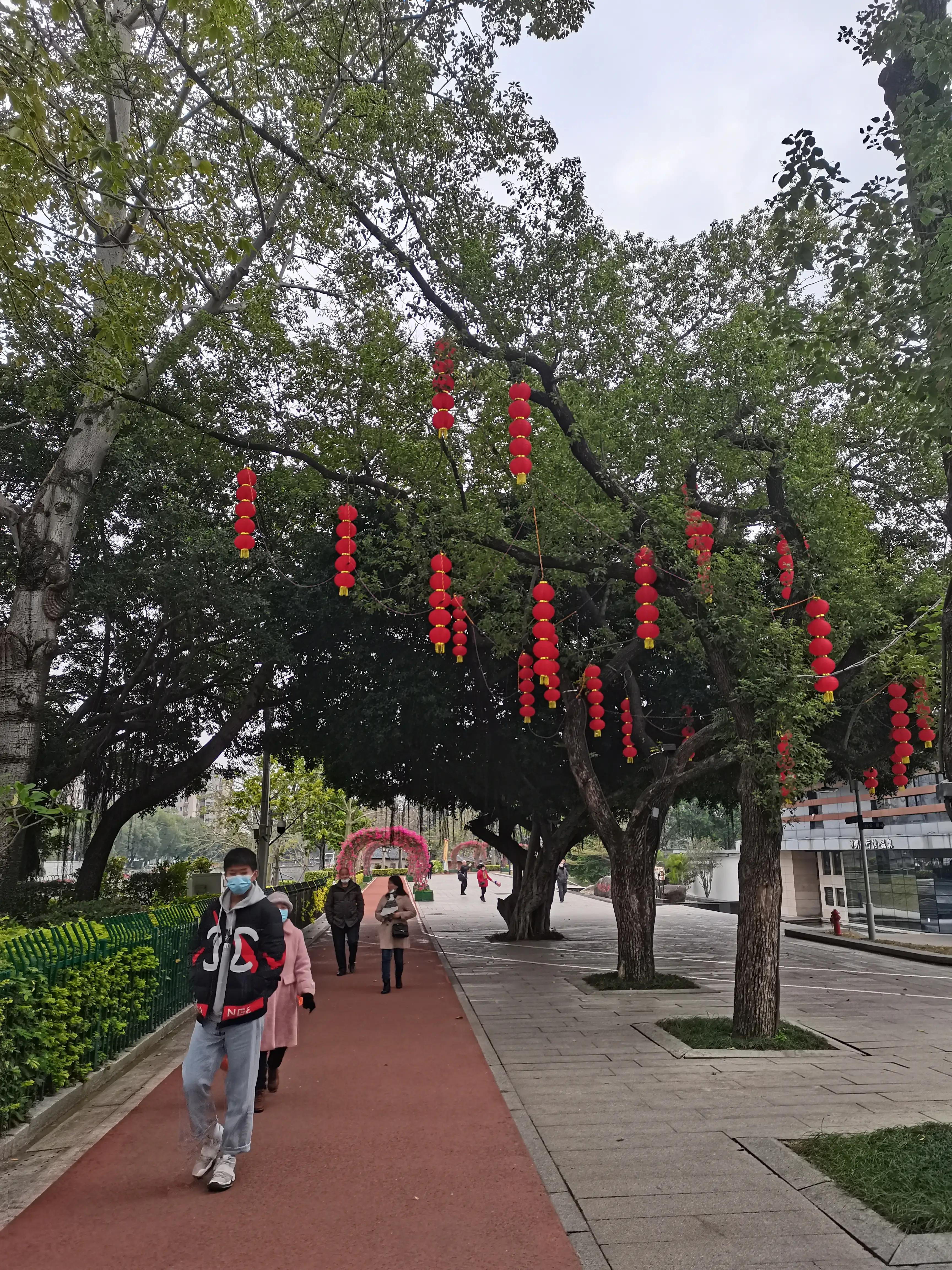 福州郁金香温泉公园,福州花海公园郁金香