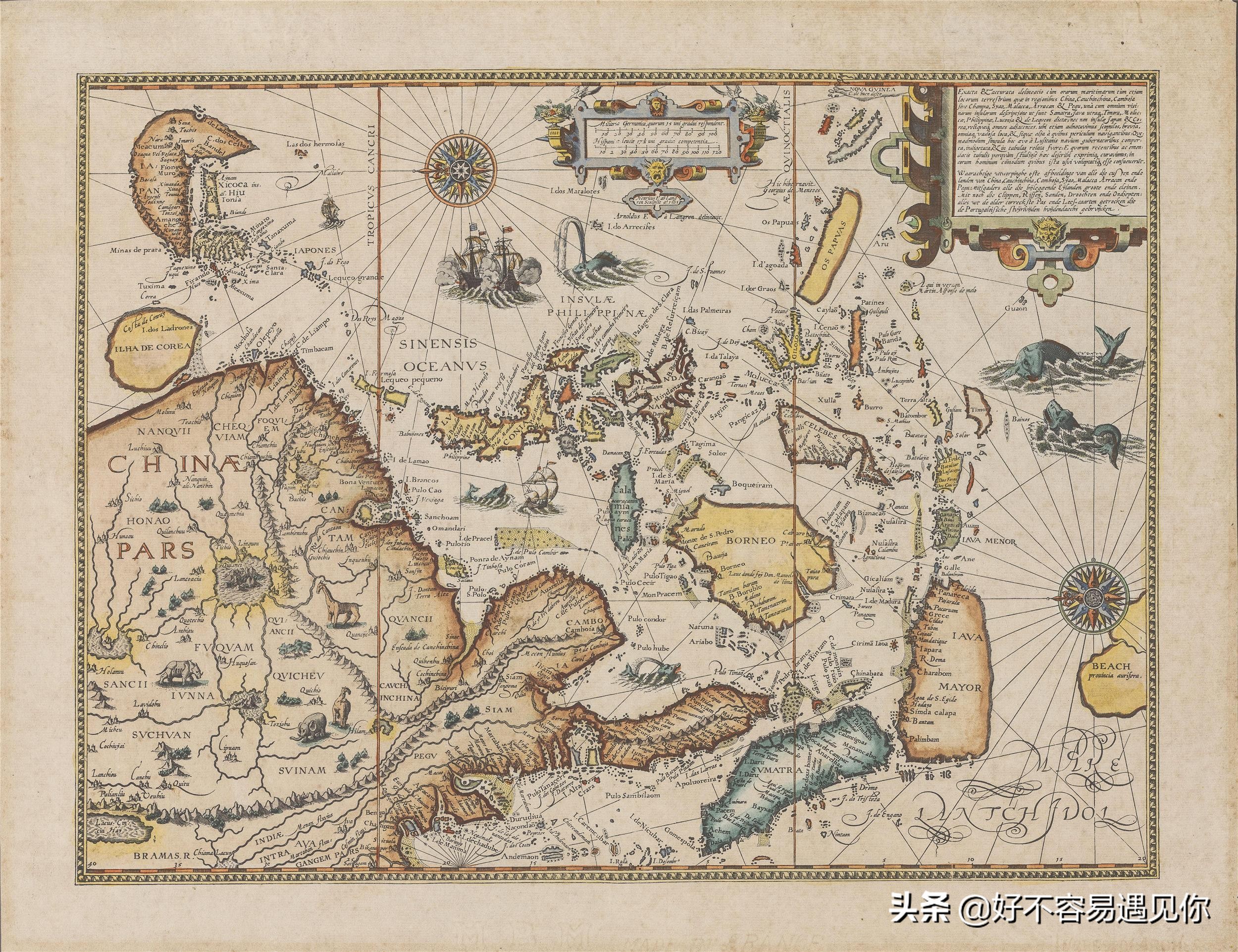 乌俄新战局,俄乌冲突下的荷兰