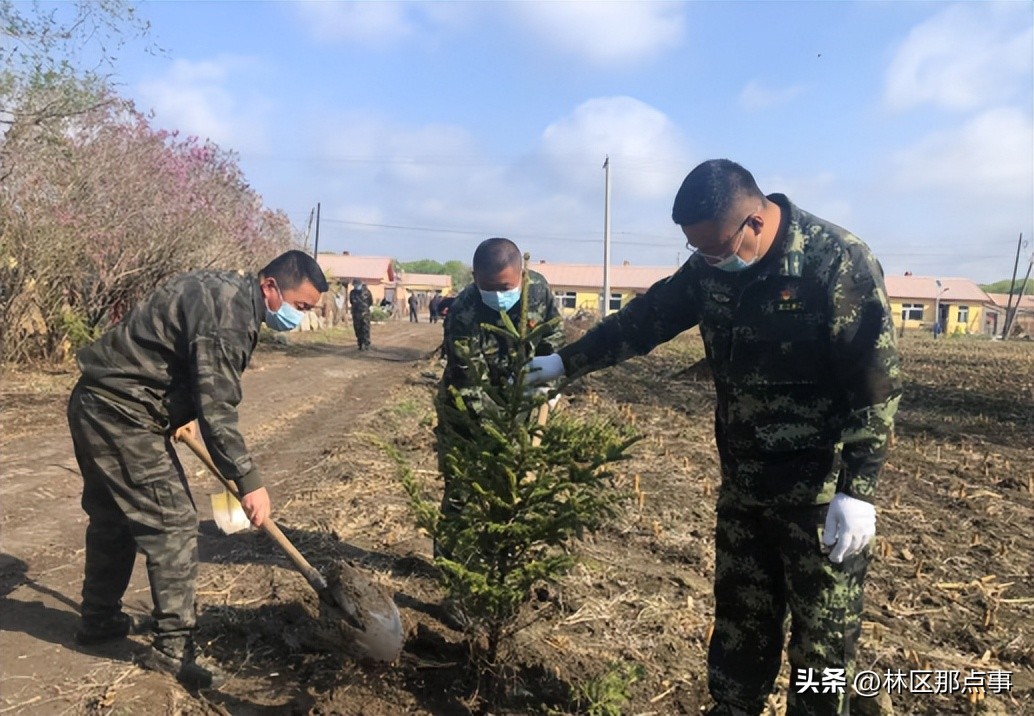 鼓足干劲办实事真心实意为民生,聚焦需求办实事提升群众幸福感