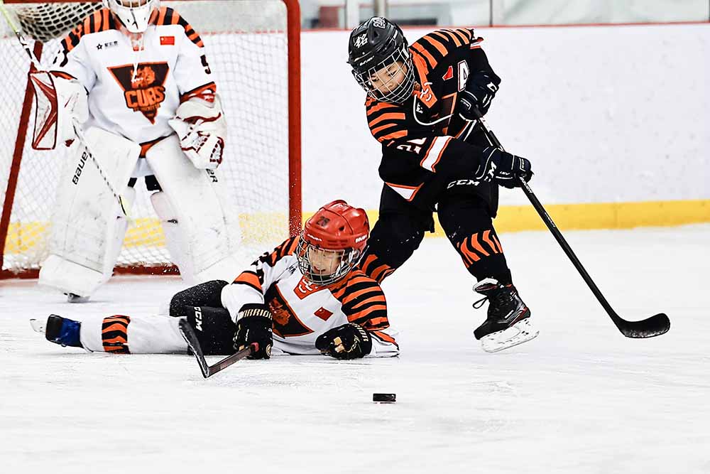 燃情冬奥筑梦未来,筑梦冬奥共赴未来手抄报