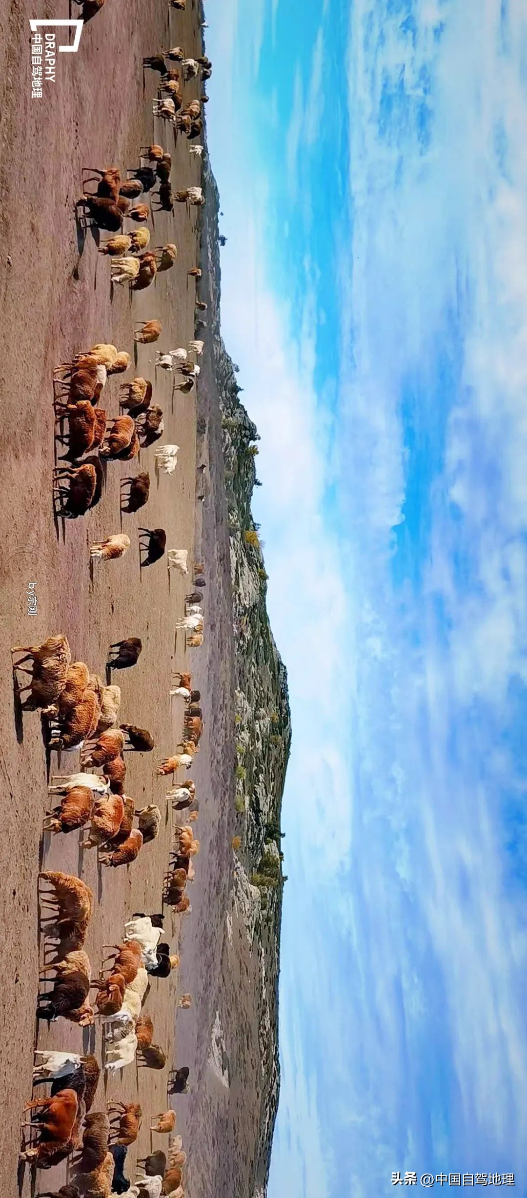 横跨中国北境的孤勇者之路，接力G219，荒芜与惊喜并存！