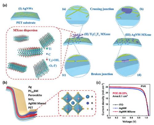 PXG/H13在非共价相互作用下，是如何有效阻止PXG反应的