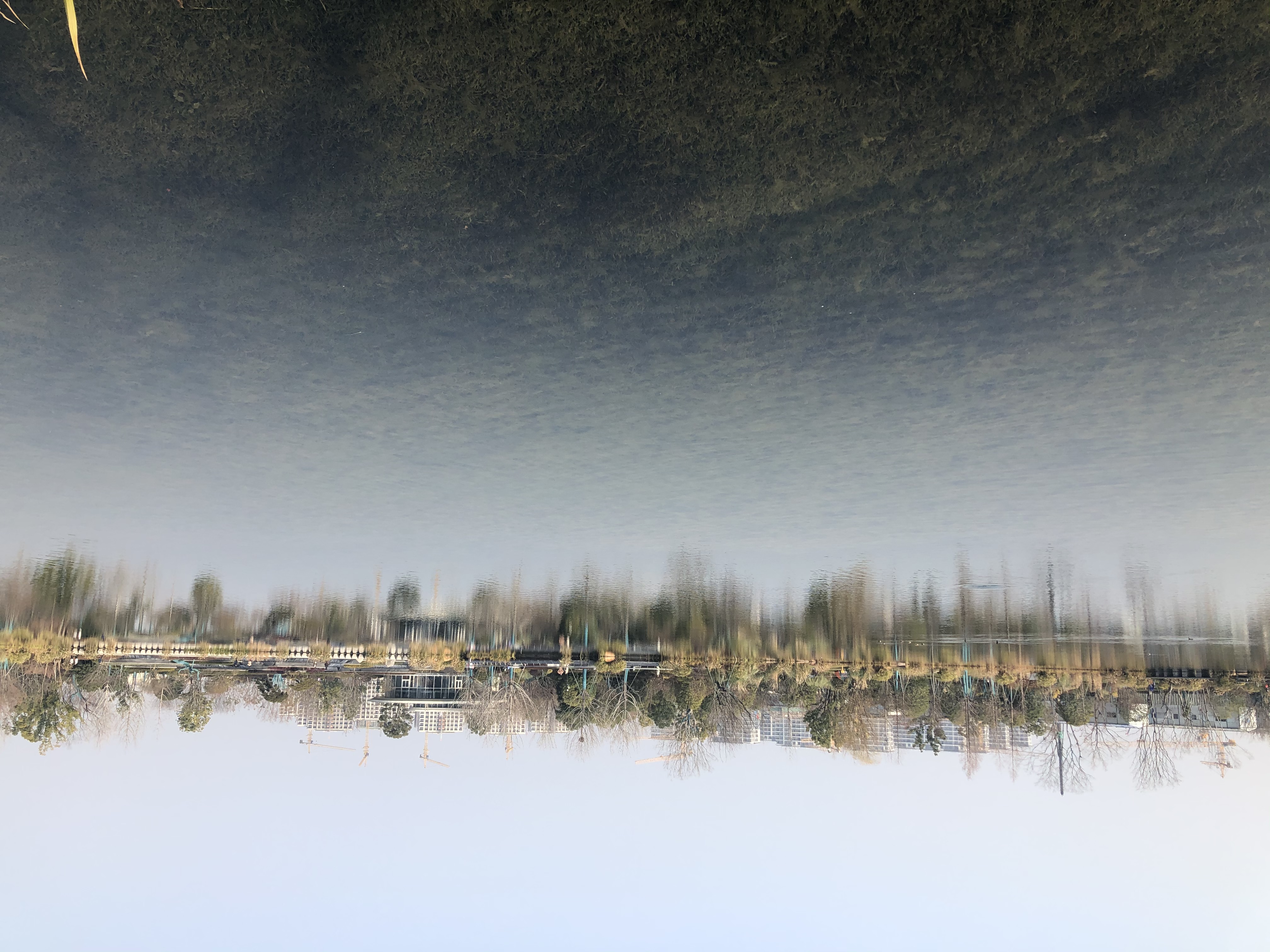 杭州最美的公园风景图片,杭州最美公园完整版