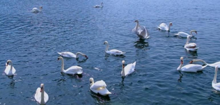 什么是沟通障碍如何改善人际沟通,如果与人沟通存在沟通障碍怎么办