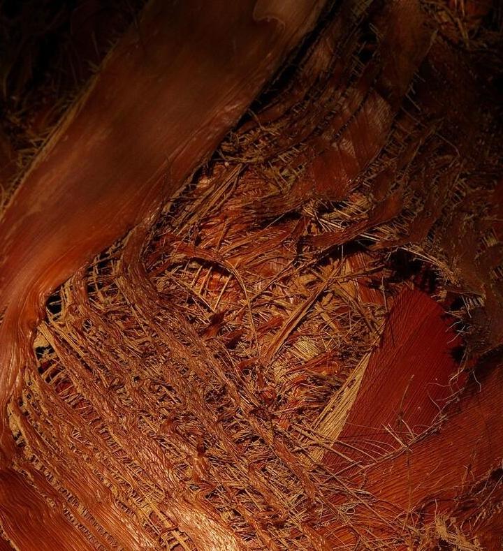 纯纯棉和全棉的区别,全棉和100%纯棉有什么区别