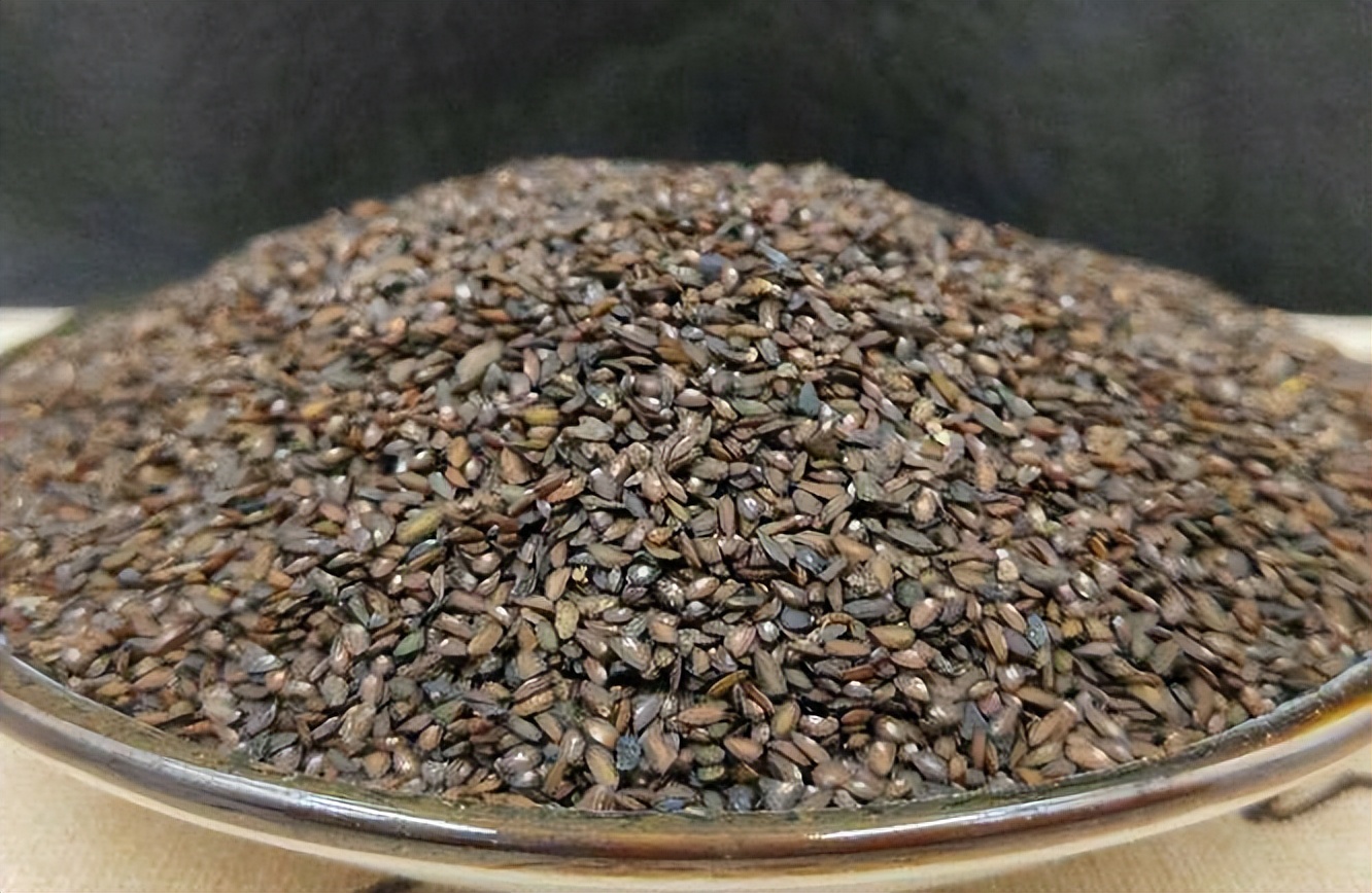 带你认识识别各种车,识别车前子