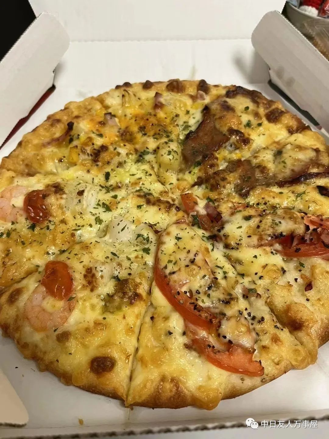 万事屋沙桑阔别三年之久的日本之旅