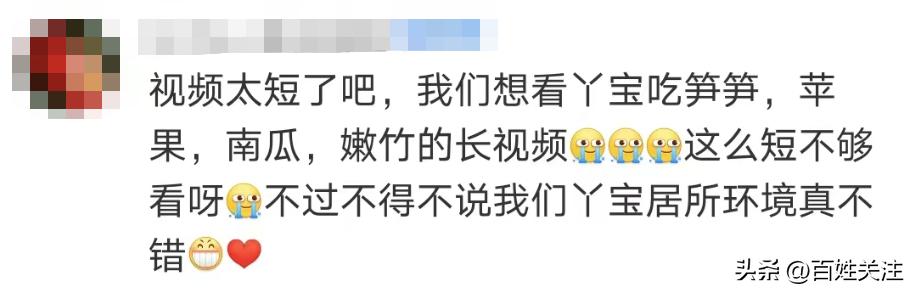 丫丫最新视频报道出来了吗,丫丫最新视频在线观看