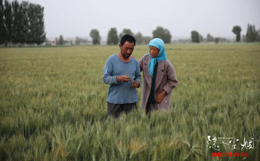 赶在下映前看电影,赶在上班之前去看场电影