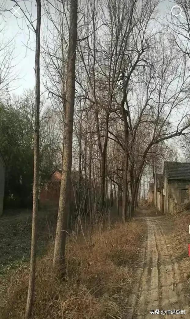 我在农村的建房历程,我在农村建房经历