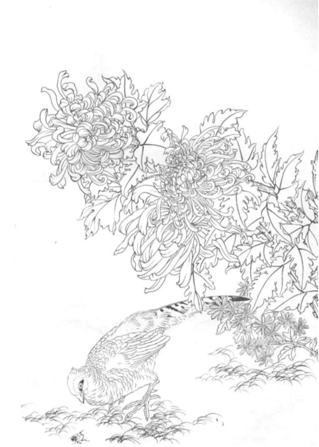 最美的白描作品欣赏,最难得一见的白描