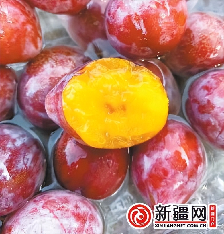 瞧瞧这些火出圈的*疆新**明星产品