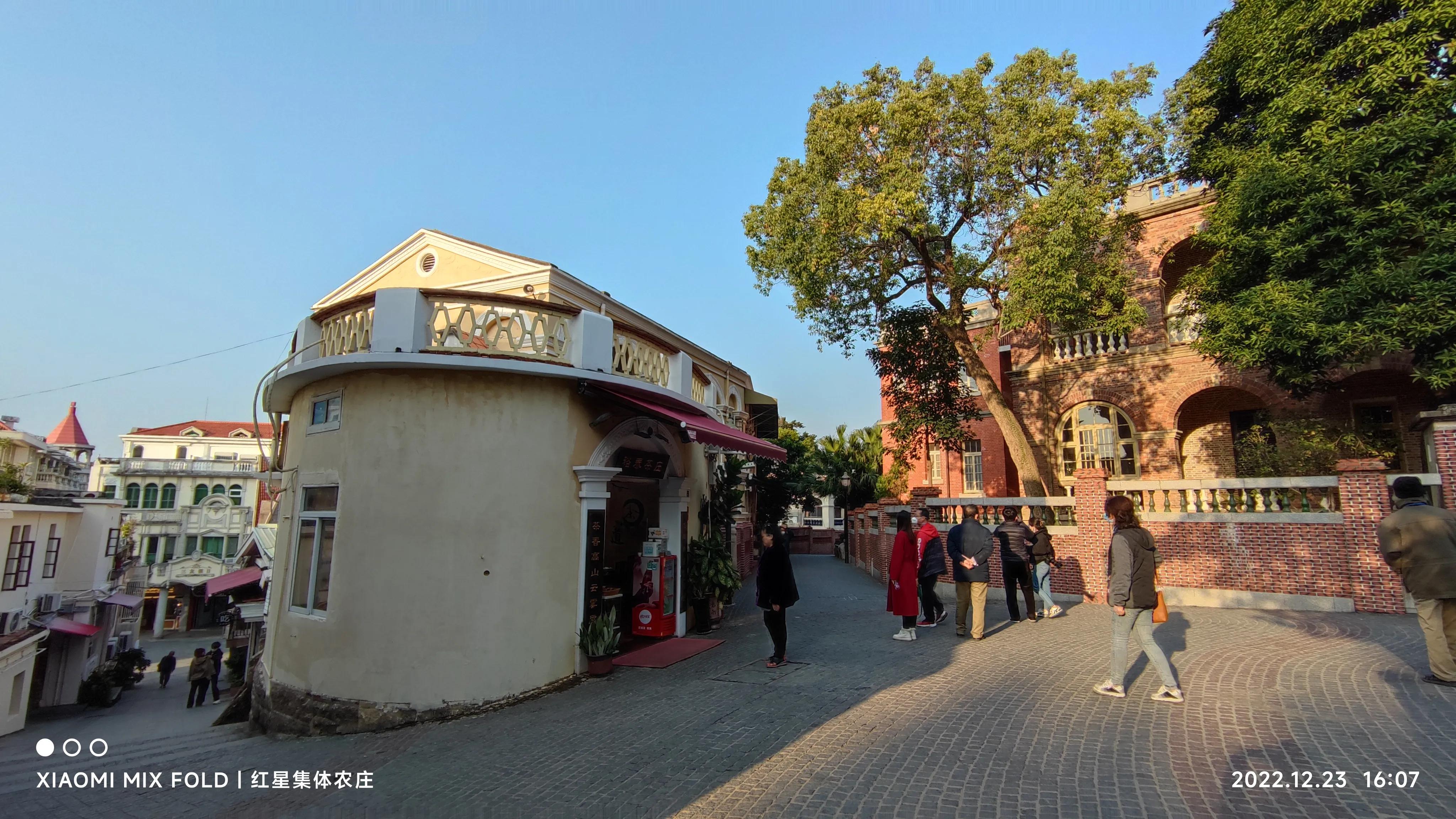 鏋彾鏄ョ鍘熷垱,鏋彾鏄ョ