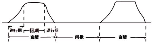 孕妈妈怎么判断胎位是正的,胎儿屁股在右侧是什么胎位