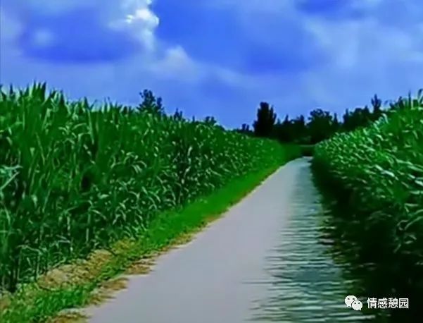 一段路一段情的唯美句子,一段路一段缘