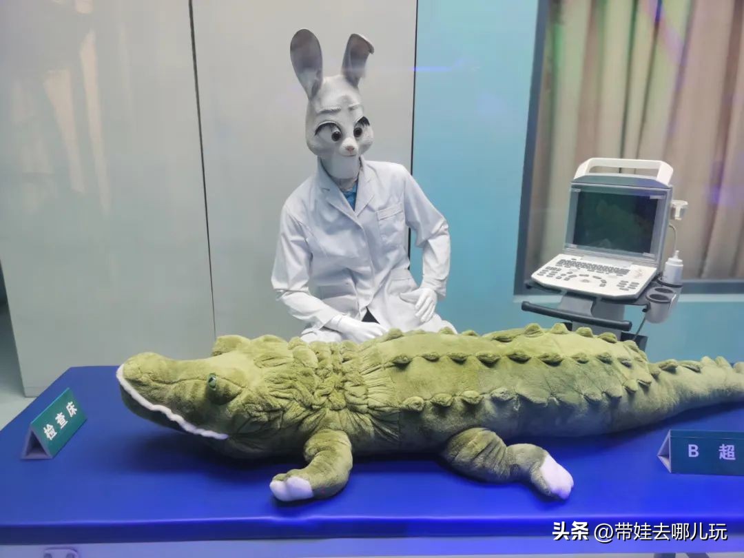 一天玩遍北京野生动物园,包场去鸟巢