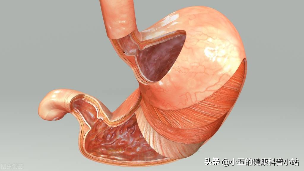 萎缩性胃炎吃什么药预防胃癌,萎缩性胃炎预防癌变方法