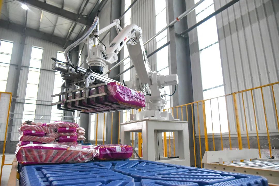 干出项目“加速度”，打造邯郸肥乡“种业高地”