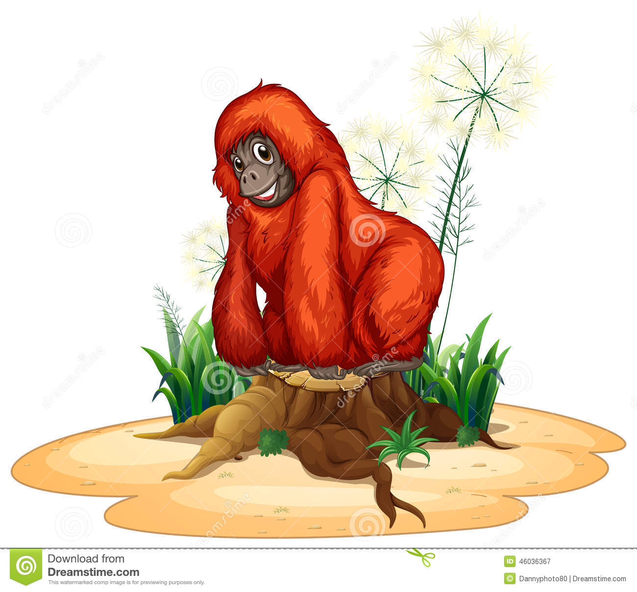 y染色体单倍群,y染色体单倍群什么意思