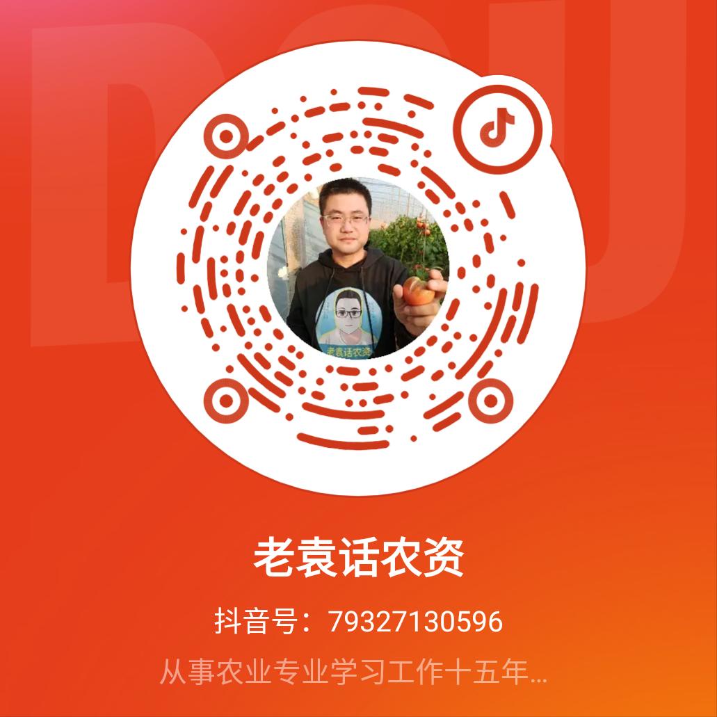 农业辣椒病毒病怎么治疗,辣椒病毒病的识别与防治方法