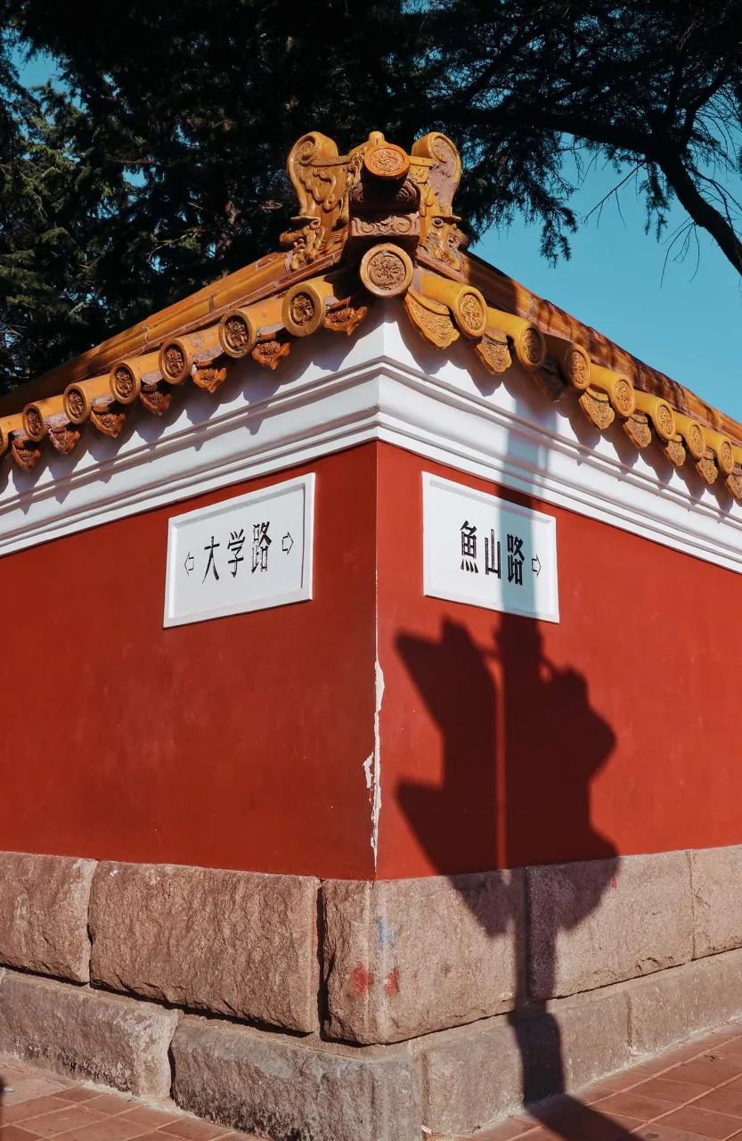 来过的人流连忘返,青岛是个令人向往的地方