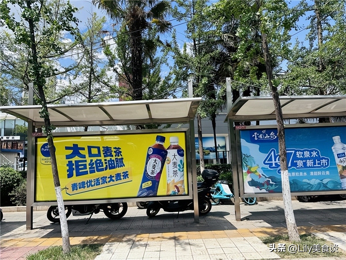 青啤优活加大麦茶,青啤优活大麦茶