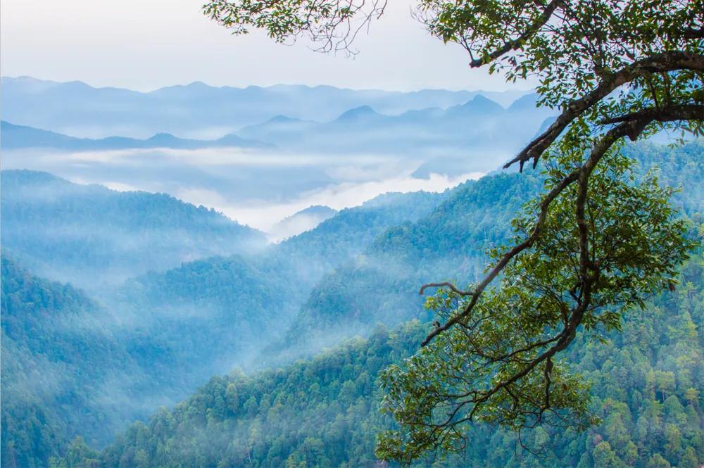 东江之源三百山讲解,东江探源到三百山