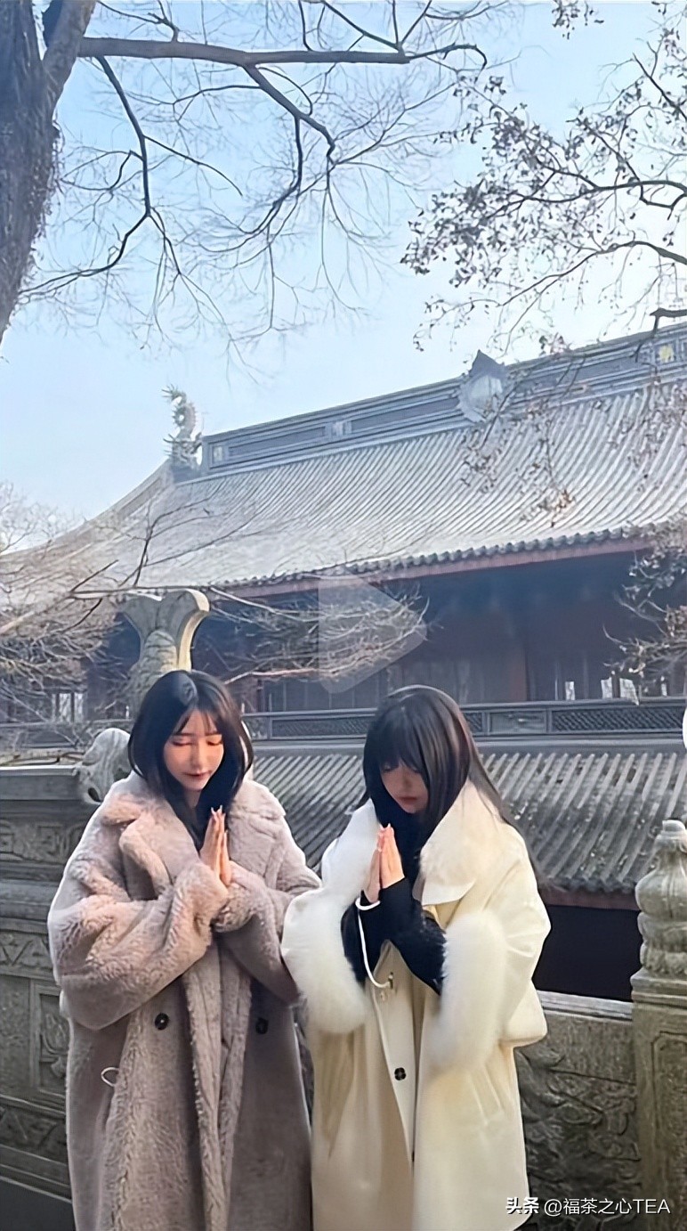 佛媛、茶媛、艺媛……还分级别？揭底“名媛”圈真实的鄙视链