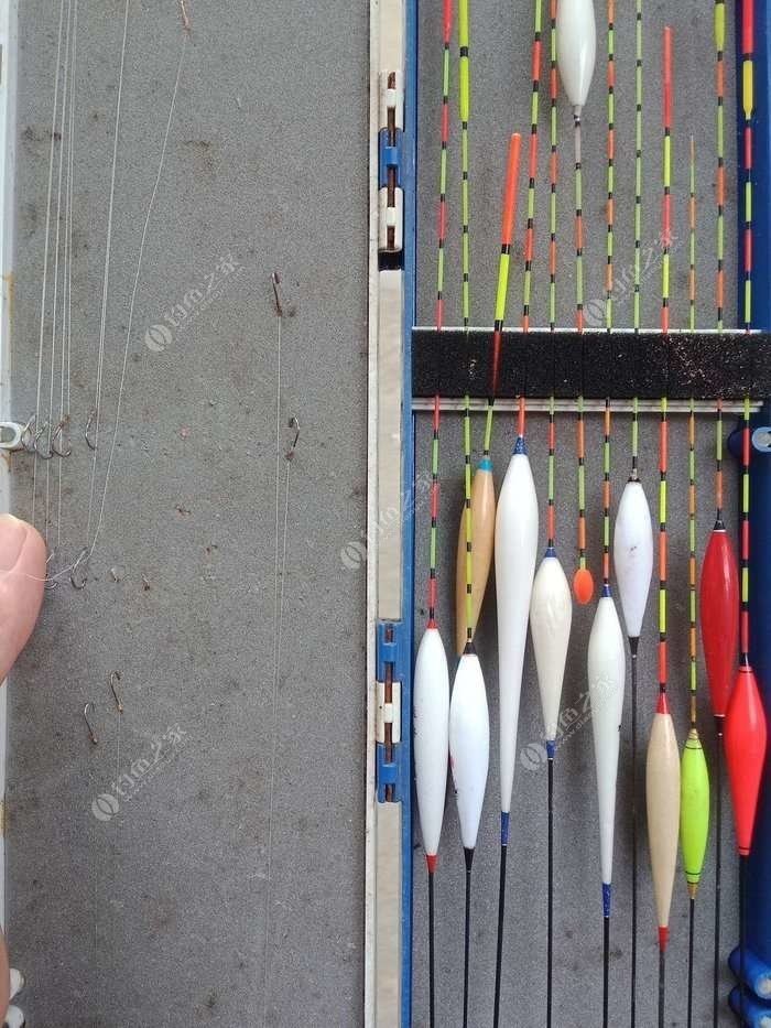 调5钓3的水下状态,调5钓3和调四钓2区别