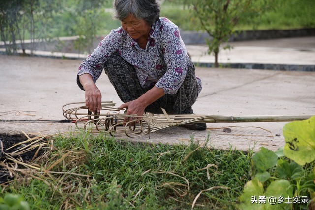 村干部现场讲解振兴乡村致富经验,聚焦三农谈农村如何振兴乡村