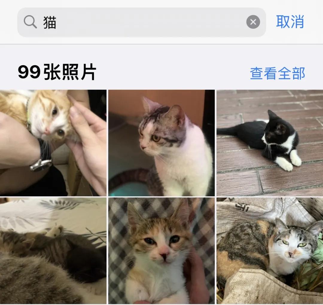 iphone相册权限在哪里打开,iphone私密相册怎么打开