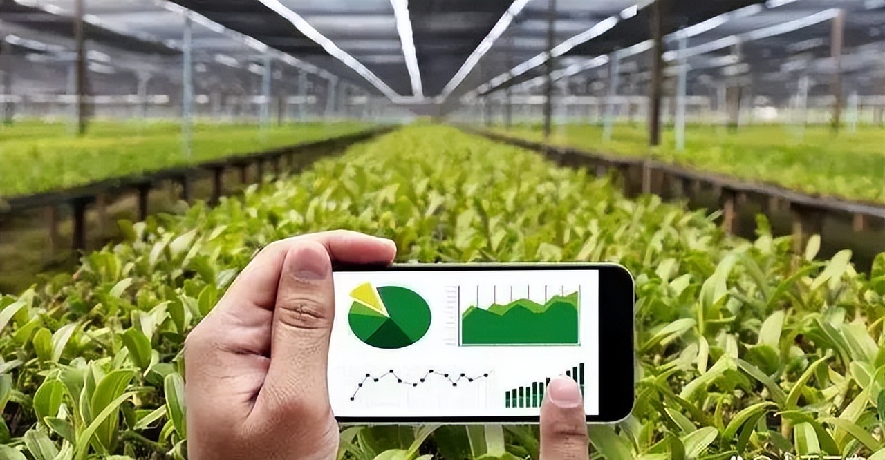 农产品批发中心主导的供应链,农产品流通平台建设