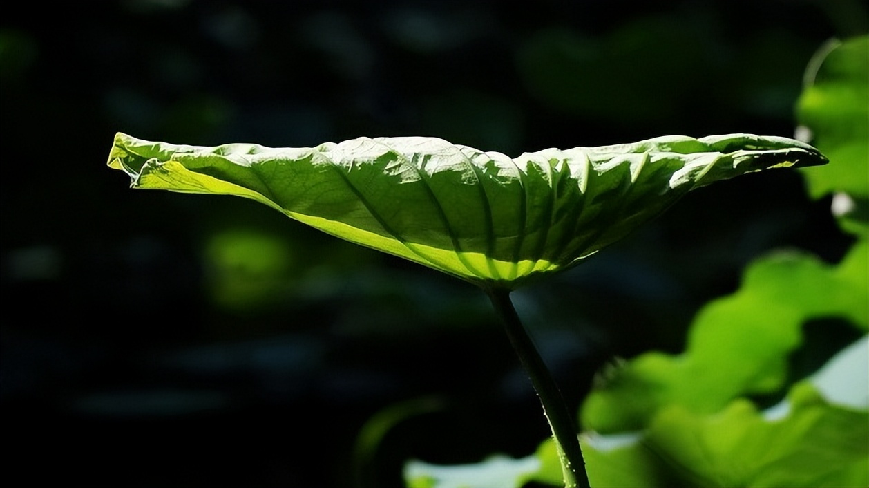 一年前的三星值得买吗,三星以前的老手机值钱吗