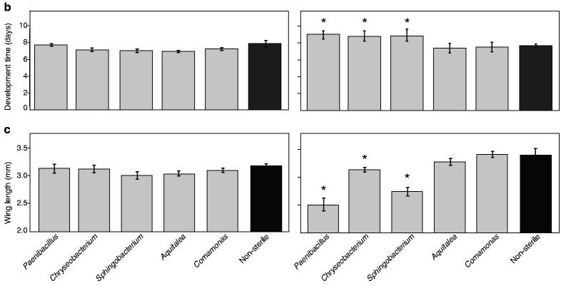 噬菌体侵染大肠杆菌实验细节,肉鸡用噬菌体