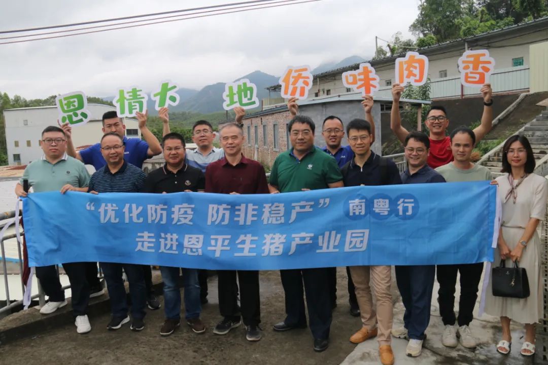 广东各市2019年生猪出栏数量,广东生猪养殖产业现状如何