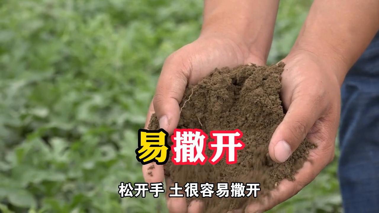 用ph测土壤的酸碱度,养花土壤怎么测酸碱度