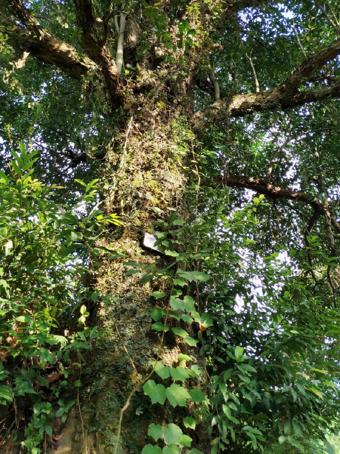 郴乐古道之水头江宜乐古道--广东省乐昌市庆云镇