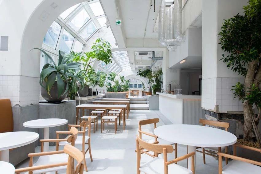 现代酒店餐饮装修推荐,一站式酒店餐饮装修设计布局