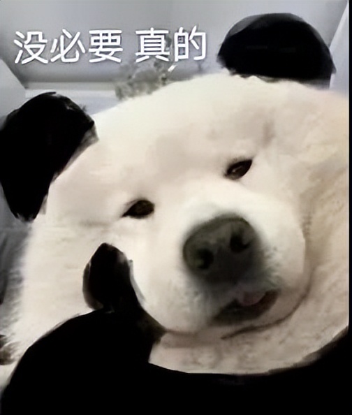 20岁以上男性夫妻正常生理周期,男性生理周期到多大年龄才算正常