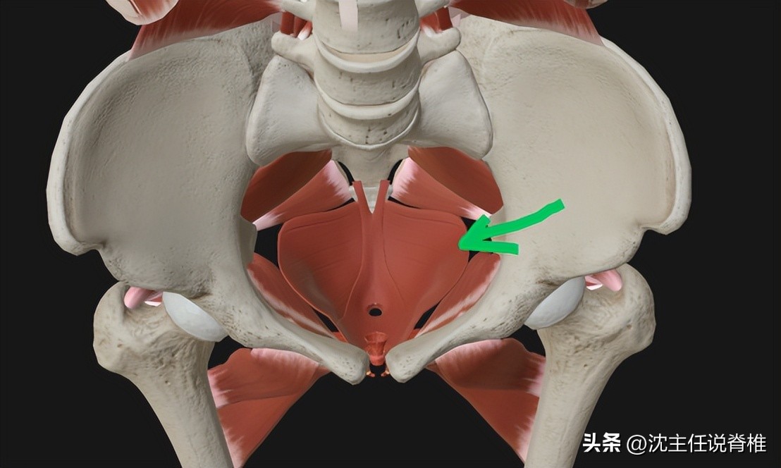 剖腹产会损伤尿道吗,剖腹产也会损伤盆底肌吗