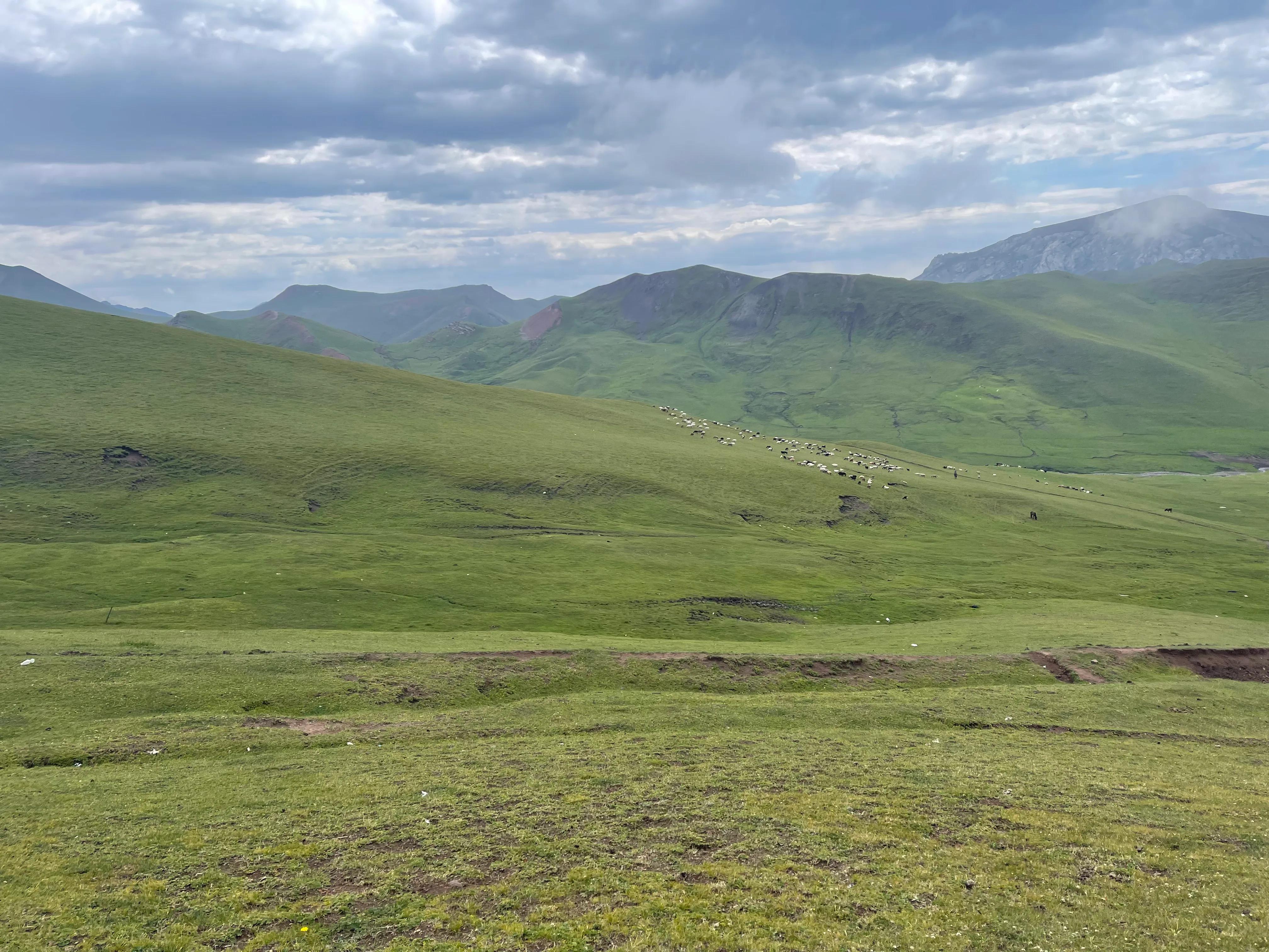 伊犁徒步穿越古道,伊犁昭苏县夏塔古道图片