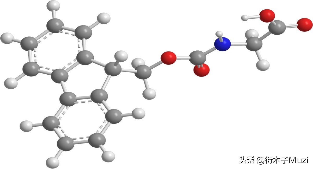 哪些氨基酸为必需氨基酸,氨基酸是生命起源吗