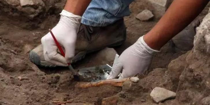 陕西出土7000年前的少女,陕西出土神秘死亡青年