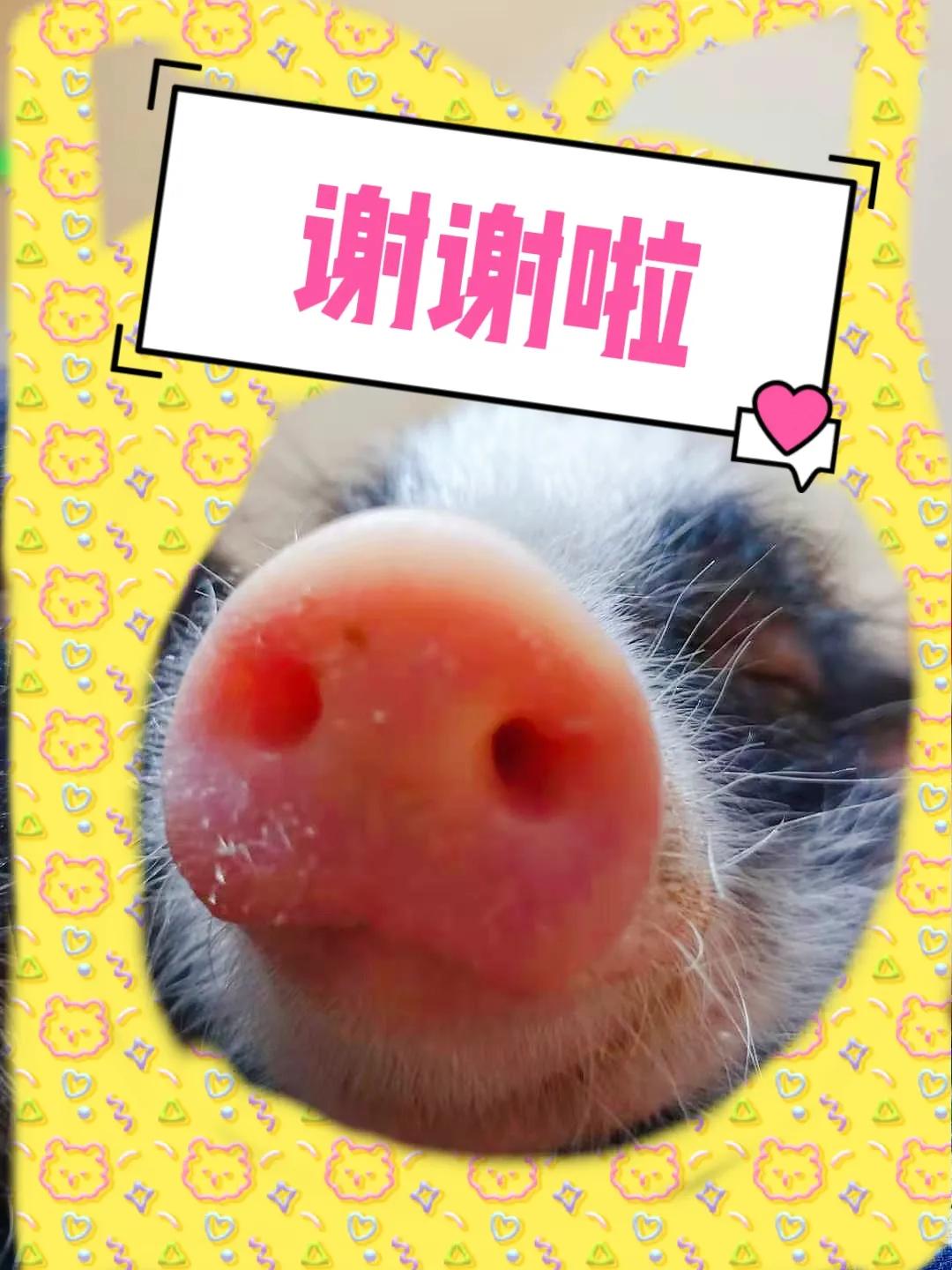 普通人手表牌子,运动手表对于普通人值得买吗