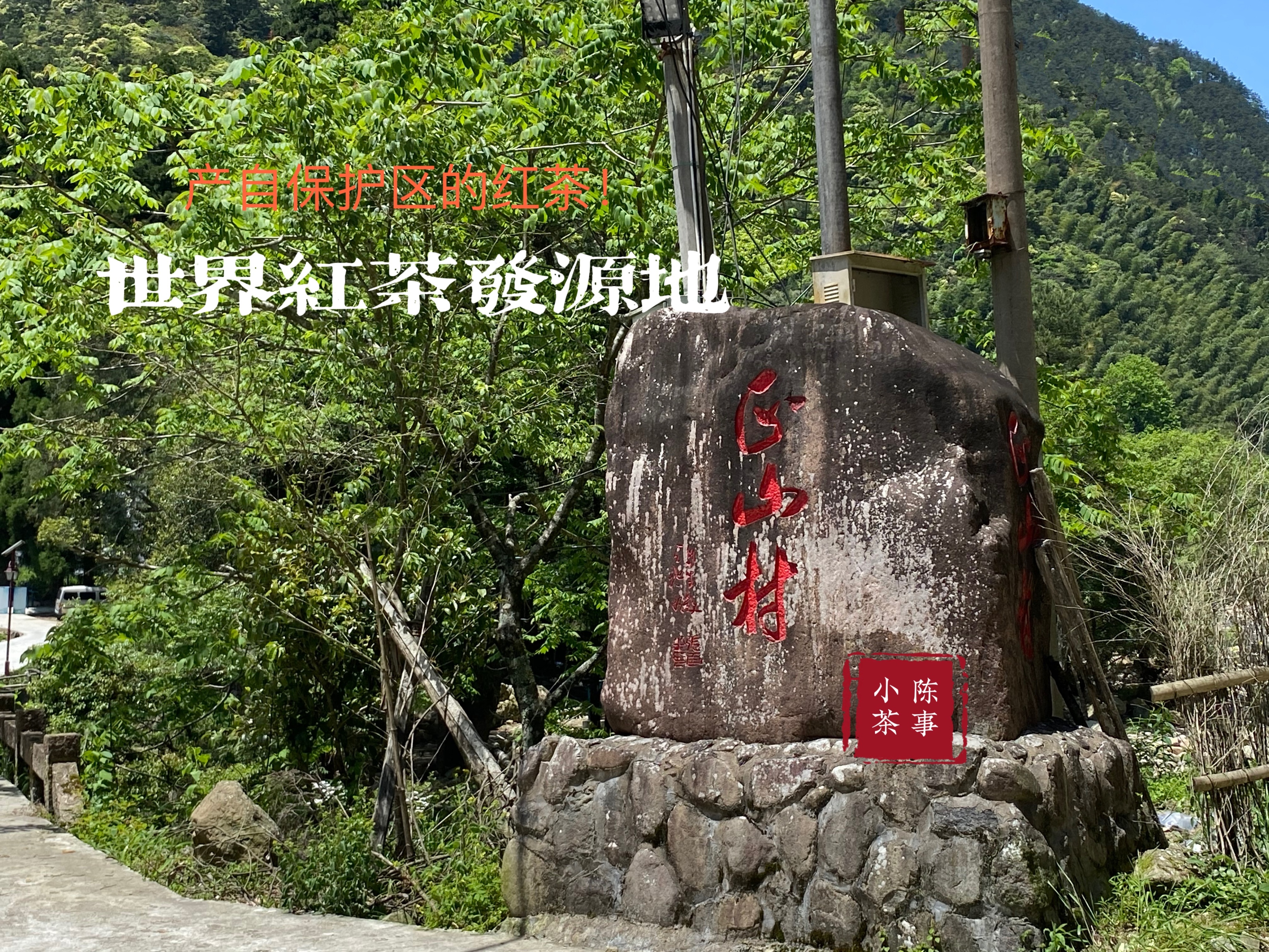 小种红茶蜜香和桂圆香,小种红茶茶味