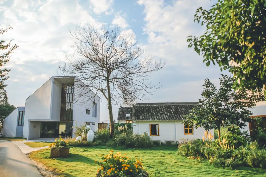 整村运营,整村运营顶层策划