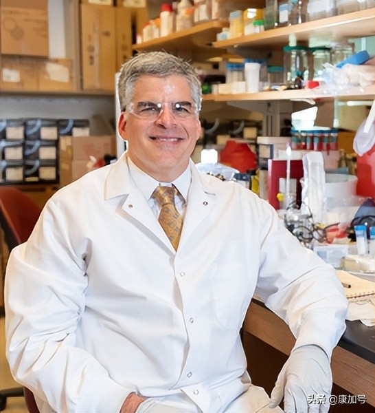 突破性创新和颠覆性创新,创新药物革新糖尿病治疗