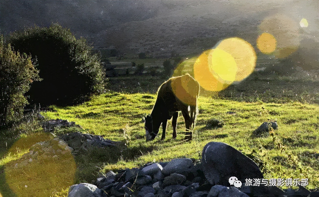 ps光效神器,ps神仙光影怎么调